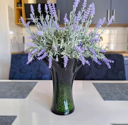 Town Center Fabi Lejlighed